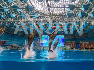 阜陽海洋館